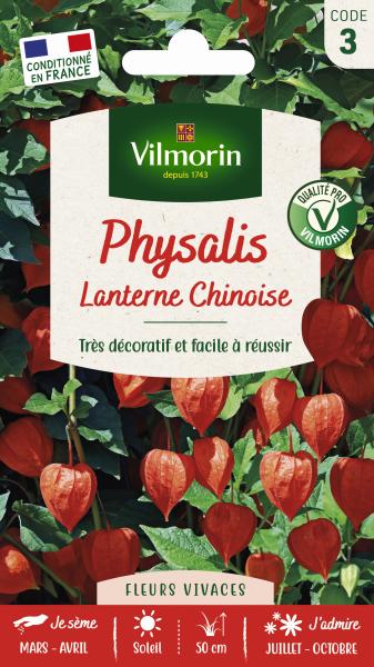 Fleurs - Physalis Lanterne Chinoise - PACKAGING_RECTO
